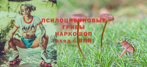 скорость Абаза