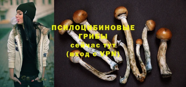 гидра Абинск