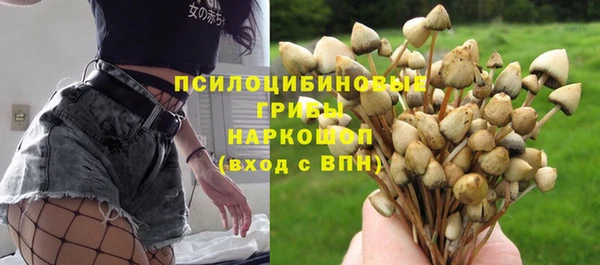 гидра Абинск