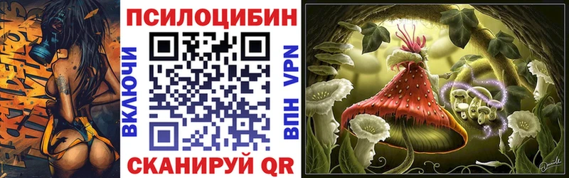 наркошоп  Сольцы  Галлюциногенные грибы мицелий 